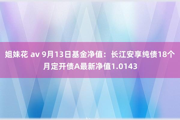 姐妹花 av 9月13日基金净值：长江安享纯债18个月定开债A最新净值1.0143