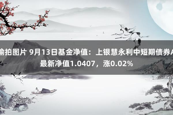 偷拍图片 9月13日基金净值：上银慧永利中短期债券A最新净值1.0407，涨0.02%