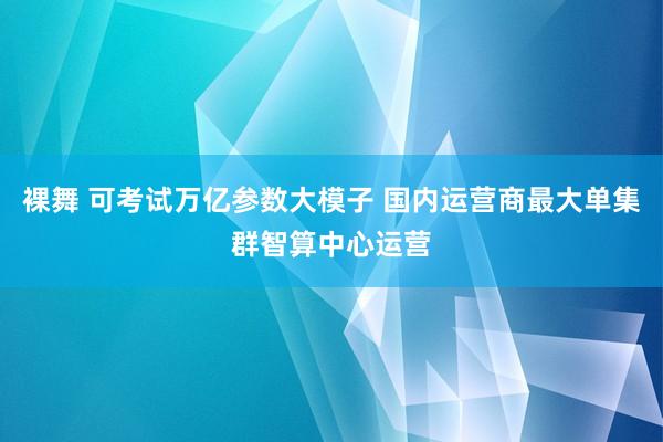 裸舞 可考试万亿参数大模子 国内运营商最大单集群智算中心运营