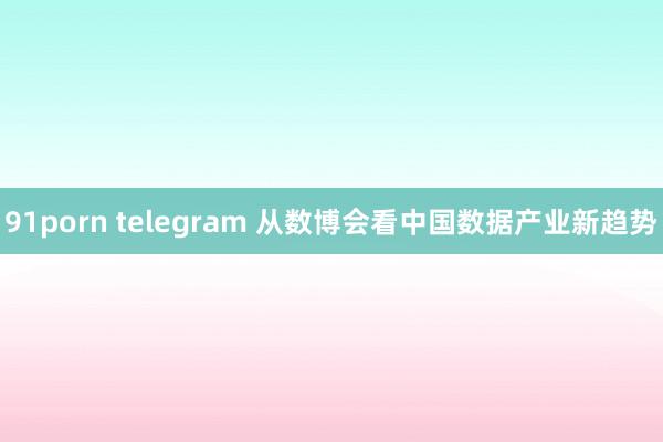 91porn telegram 从数博会看中国数据产业新趋势