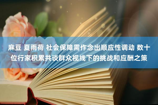 麻豆 夏雨荷 社会保障需作念出顺应性调动 数十位行家积累共谈群众视线下的挑战和应酬之策