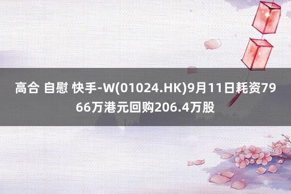 高合 自慰 快手-W(01024.HK)9月11日耗资7966万港元回购206.4万股