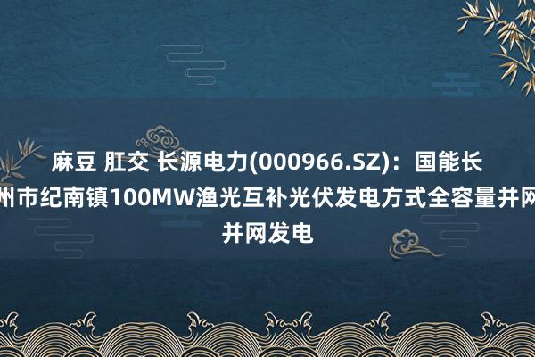 麻豆 肛交 长源电力(000966.SZ)：国能长源荆州市纪南镇100MW渔光互补光伏发电方式全容量并网发电