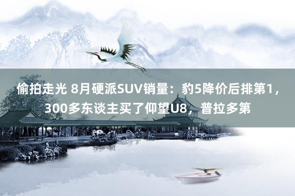 偷拍走光 8月硬派SUV销量：豹5降价后排第1，300多东谈主买了仰望U8，普拉多第