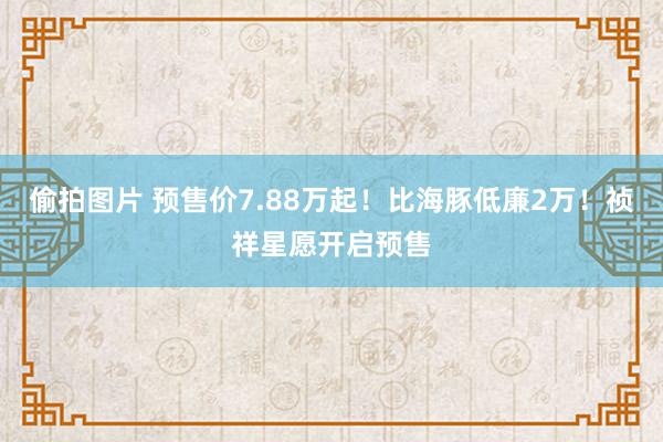 偷拍图片 预售价7.88万起！比海豚低廉2万！祯祥星愿开启预售