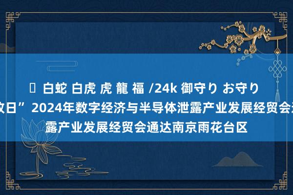 ✨白蛇 白虎 虎 龍 福 /24k 御守り お守り “数智视界·创享改日” 2024年数字经济与半导体泄露产业发展经贸会通达南京雨花台区