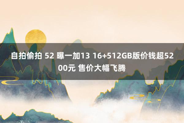 自拍偷拍 52 曝一加13 16+512GB版价钱超5200元 售价大幅飞腾