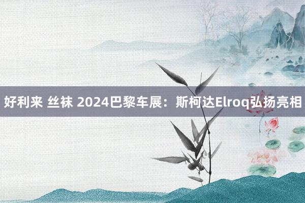 好利来 丝袜 2024巴黎车展：斯柯达Elroq弘扬亮相