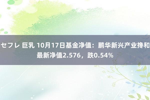 セフレ 巨乳 10月17日基金净值：鹏华新兴产业搀和最新净值2.576，跌0.54%