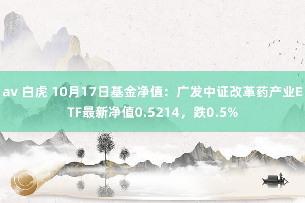 av 白虎 10月17日基金净值：广发中证改革药产业ETF最新净值0.5214，跌0.5%