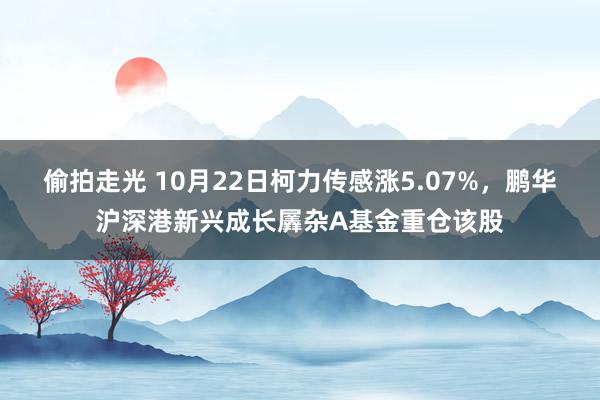 偷拍走光 10月22日柯力传感涨5.07%，鹏华沪深港新兴成长羼杂A基金重仓该股