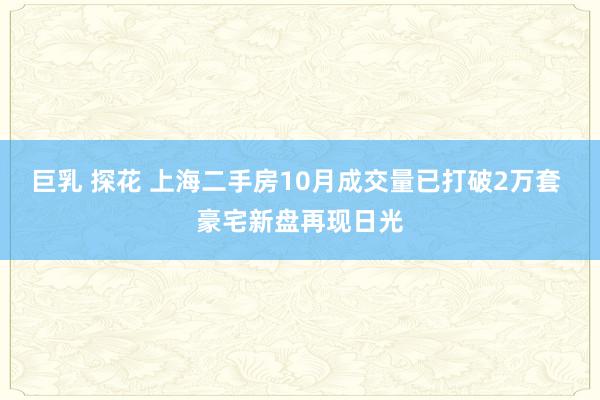 巨乳 探花 上海二手房10月成交量已打破2万套 豪宅新盘再现日光