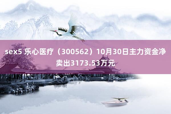 sex5 乐心医疗（300562）10月30日主力资金净卖出3173.53万元