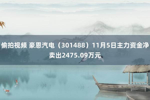 偷拍视频 豪恩汽电（301488）11月5日主力资金净卖出2475.09万元