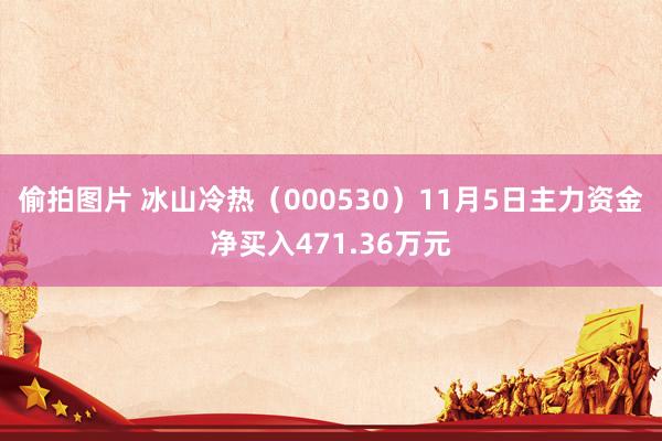 偷拍图片 冰山冷热（000530）11月5日主力资金净买入471.36万元