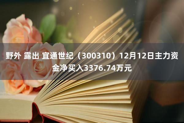 野外 露出 宜通世纪（300310）12月12日主力资金净买入3376.74万元