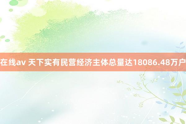 在线av 天下实有民营经济主体总量达18086.48万户