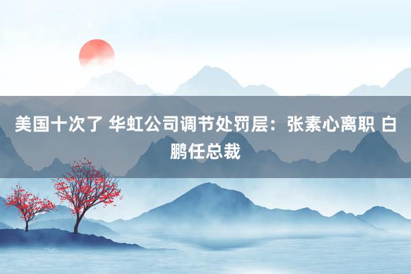 美国十次了 华虹公司调节处罚层：张素心离职 白鹏任总裁