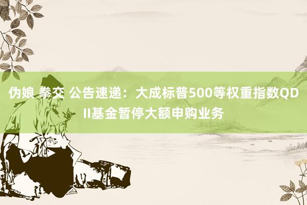 伪娘 拳交 公告速递：大成标普500等权重指数QDII基金暂停大额申购业务