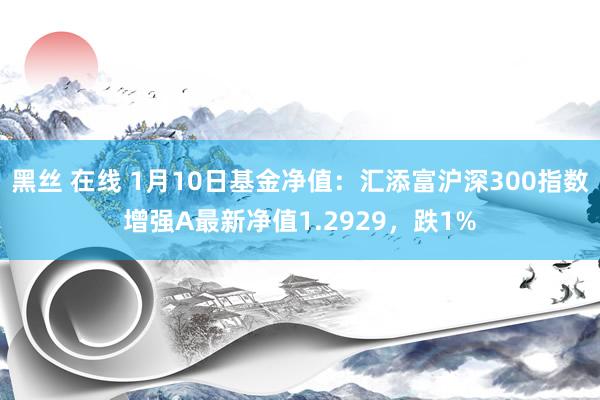 黑丝 在线 1月10日基金净值：汇添富沪深300指数增强A最新净值1.2929，跌1%