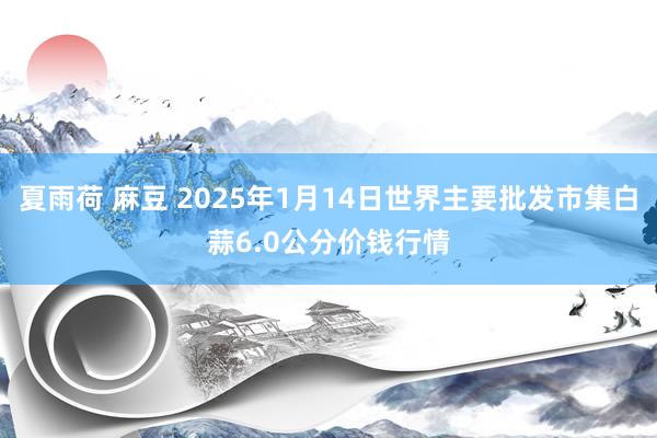 夏雨荷 麻豆 2025年1月14日世界主要批发市集白蒜6.0公分价钱行情