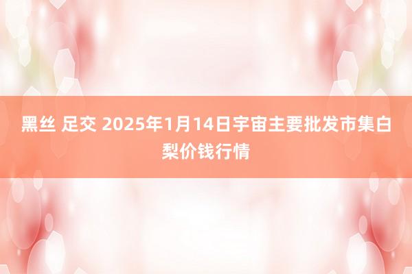 黑丝 足交 2025年1月14日宇宙主要批发市集白梨价钱行情